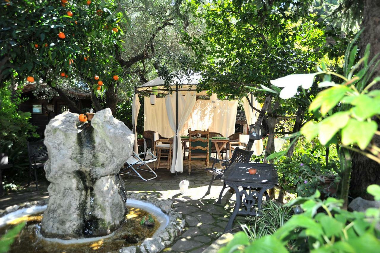Casa Pontecorvi Bed & Breakfast Velletri Luaran gambar